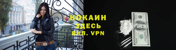мескалин Бородино